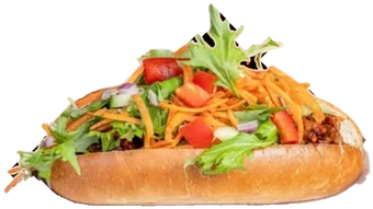 Barbecue Chicken and Garden Salad Roll